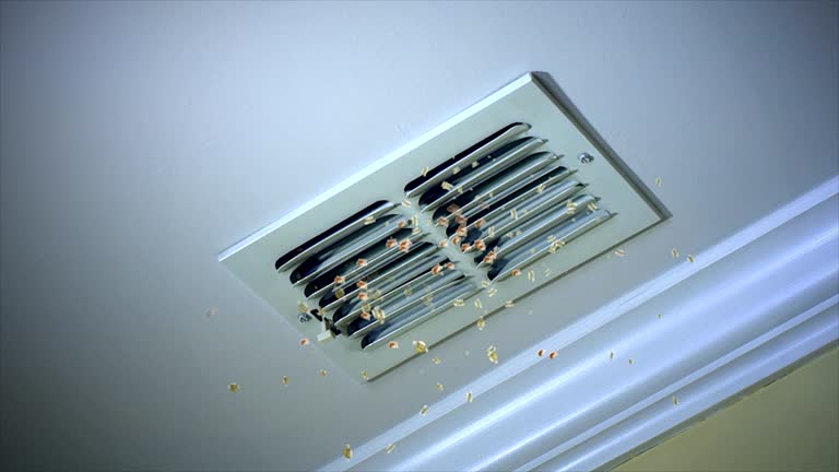 Best Air Vent Cleaning Services  in Mirrormont, WA