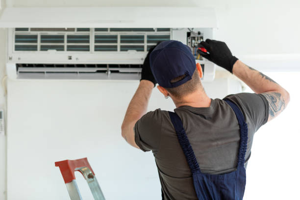 Best Air Duct Mold Removal  in Mirrormont, WA