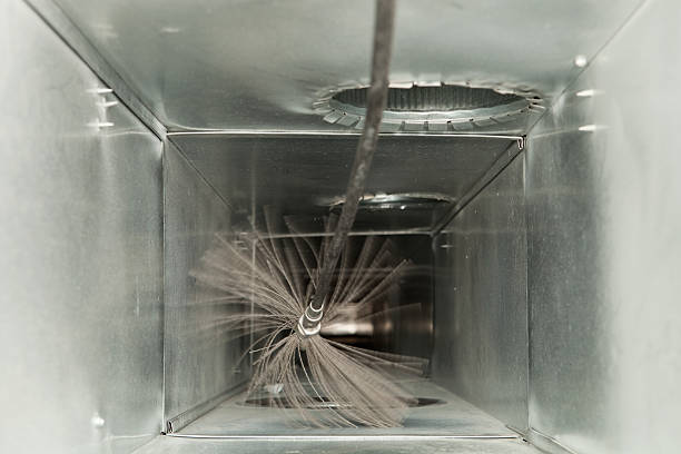 Best Affordable Air Duct Cleaning  in Mirrormont, WA