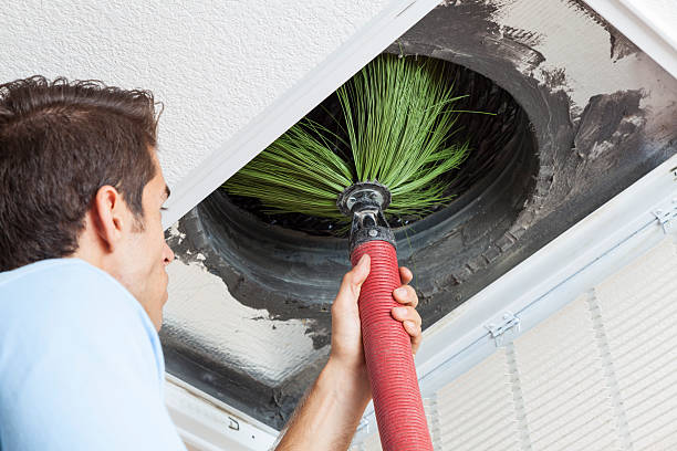 Best Residential Air Duct Cleaning  in Mirrormont, WA