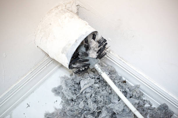 Best HVAC Maintenance and Cleaning  in Mirrormont, WA